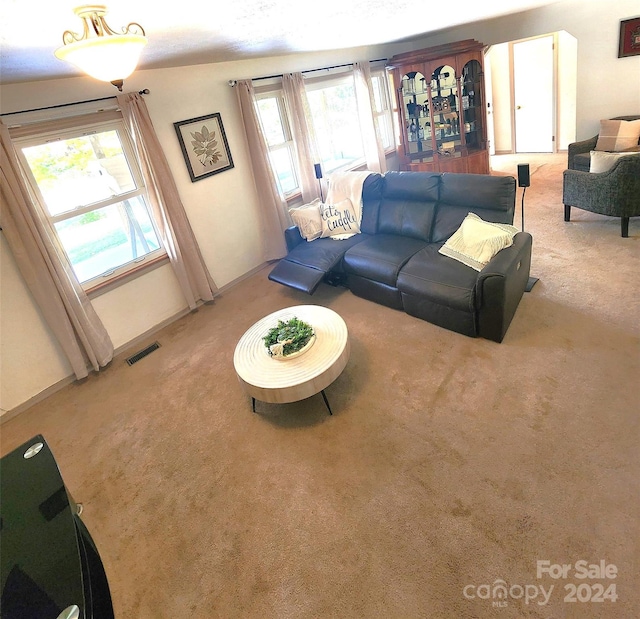 carpeted living room featuring a wealth of natural light