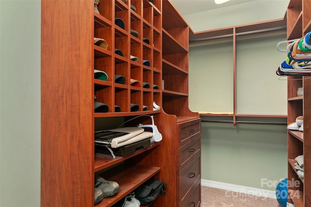 spacious closet featuring carpet