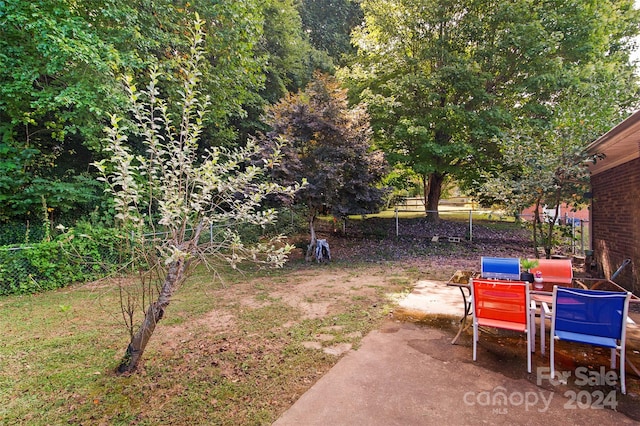 view of yard featuring a patio area