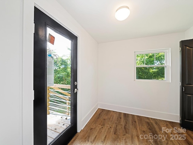 doorway to outside featuring dark hardwood / wood-style flooring