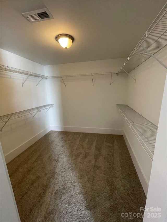 walk in closet featuring carpet flooring