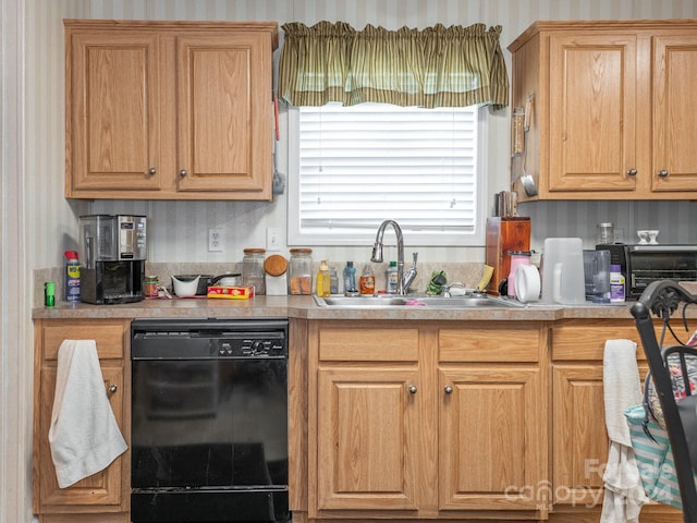 kitchen featuring dishwasher and sink