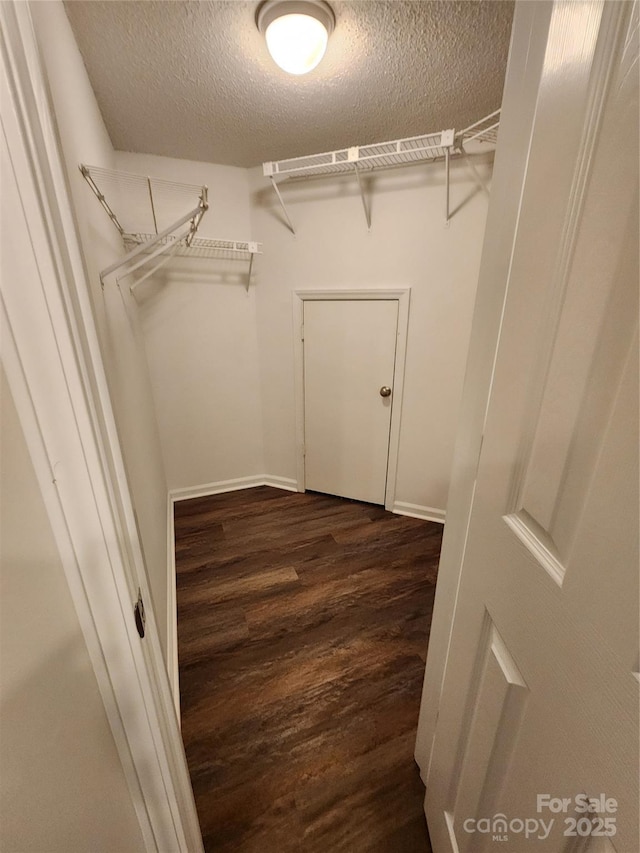 walk in closet featuring dark hardwood / wood-style flooring