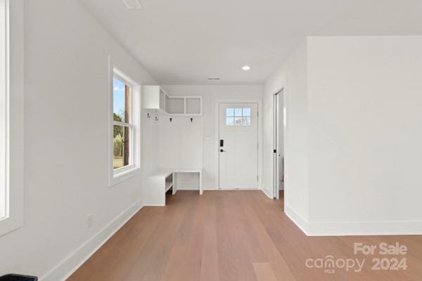 entryway with wood-type flooring and plenty of natural light