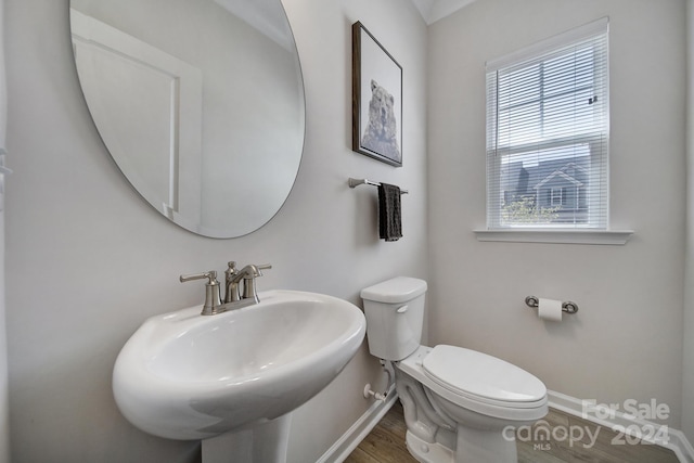 bathroom with toilet, sink, and hardwood / wood-style flooring