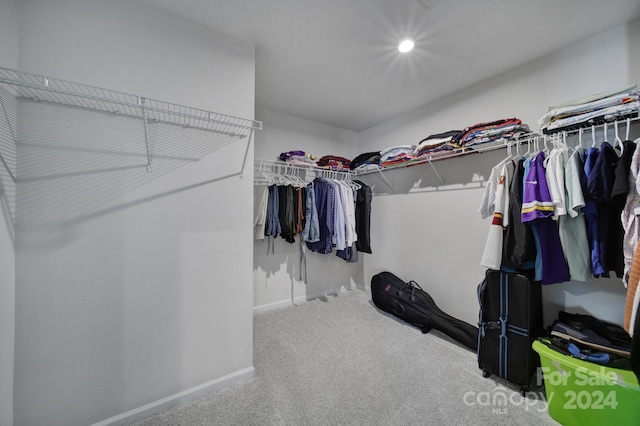 walk in closet with carpet floors