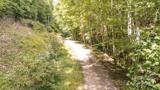 1407 Lotties Creek Rd, Burnsville, NC 28714
