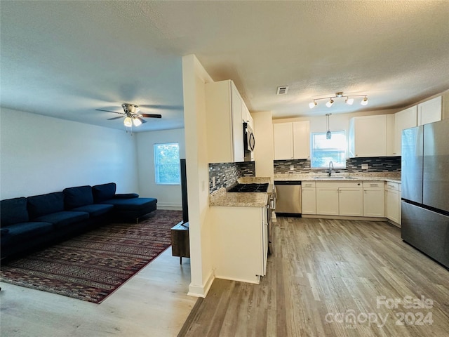 kitchen with a healthy amount of sunlight, stainless steel appliances, sink, and light hardwood / wood-style flooring