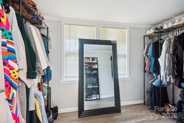 spacious closet with wood-type flooring