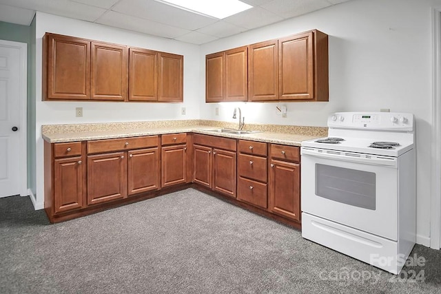 kitchen with carpet flooring, electric stove, sink, and a drop ceiling