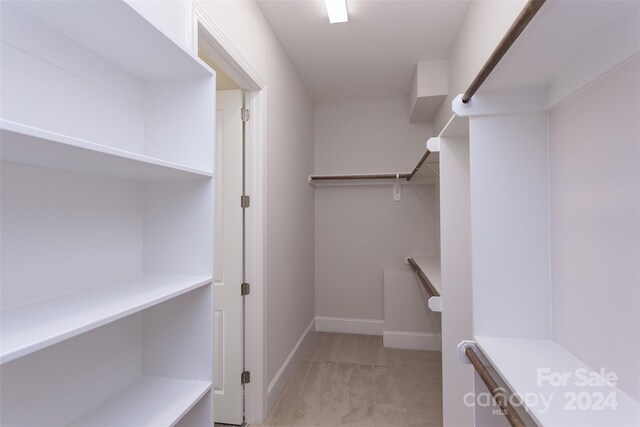 view of walk in closet