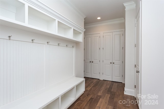 mudroom featuring dark hardwood / wood-style flooring and ornamental molding