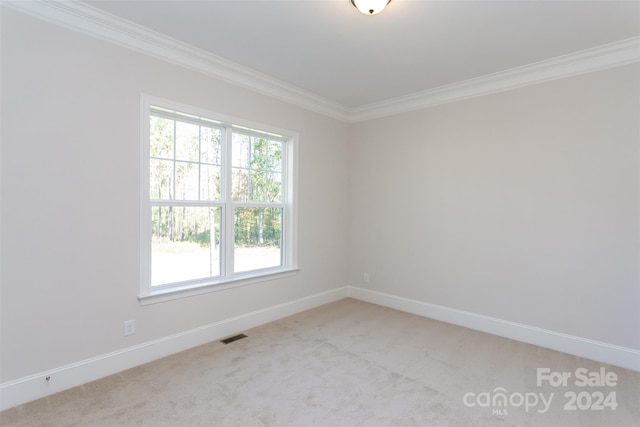 spare room featuring carpet and ornamental molding