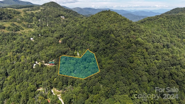 0 Cherry Ln, Clyde, NC 28721 - photo 2