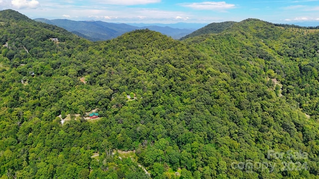 0 Cherry Ln, Clyde, NC 28721 - photo 3