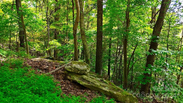 0 Cherry Ln, Clyde, NC 28721 - photo 5