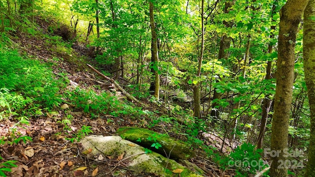 0 Cherry Ln, Clyde, NC 28721 - photo 6