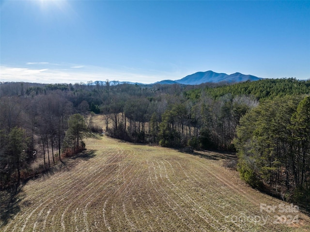 Listing photo 3 for LOT48.1 Ar Thompson Rd, Mill Spring NC 28756