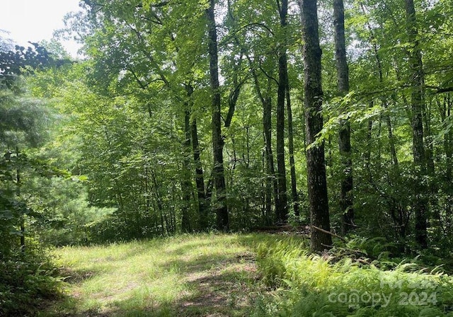 LOT114 Pickens Hwy, Rosman NC, 28772 land for sale