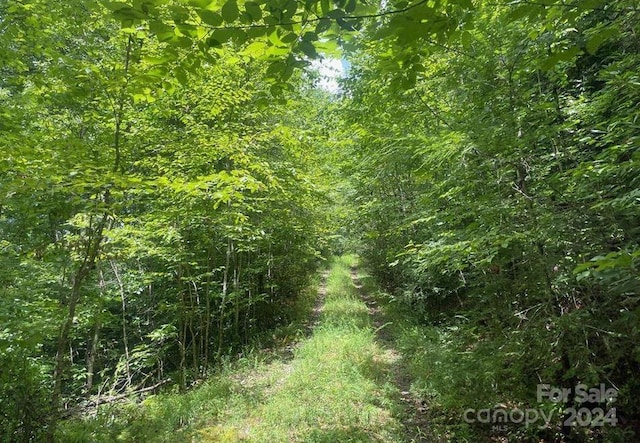 Listing photo 2 for LOT114 Pickens Hwy, Rosman NC 28772