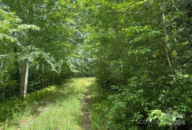 LOT114 Pickens Hwy, Rosman, NC 28772