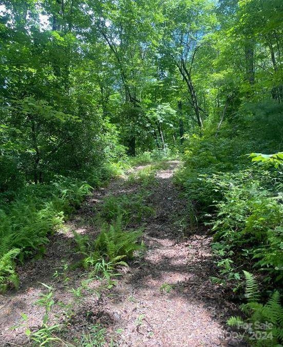 LOT114 Pickens Hwy, Rosman, NC 28772