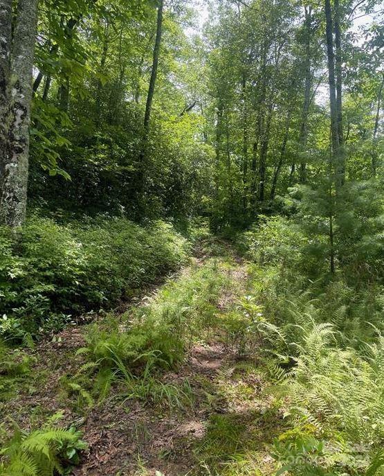 LOT114 Pickens Hwy, Rosman, NC 28772