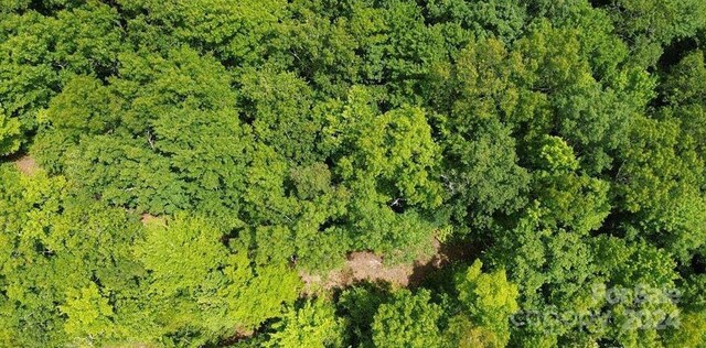 LOT114 Pickens Hwy, Rosman, NC 28772
