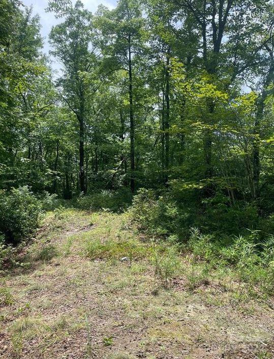 LOT114 Pickens Hwy, Rosman, NC 28772
