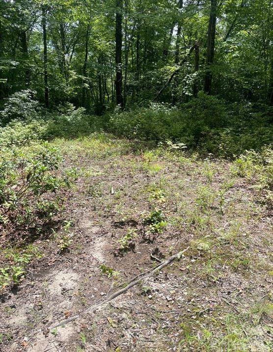 LOT114 Pickens Hwy, Rosman, NC 28772