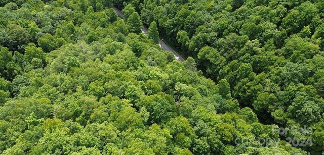 LOT114 Pickens Hwy, Rosman, NC 28772