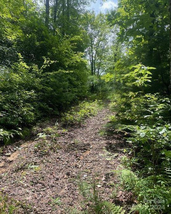 LOT114 Pickens Hwy, Rosman, NC 28772