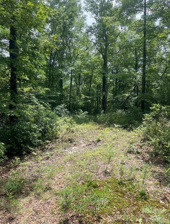 LOT114 Pickens Hwy, Rosman, NC 28772