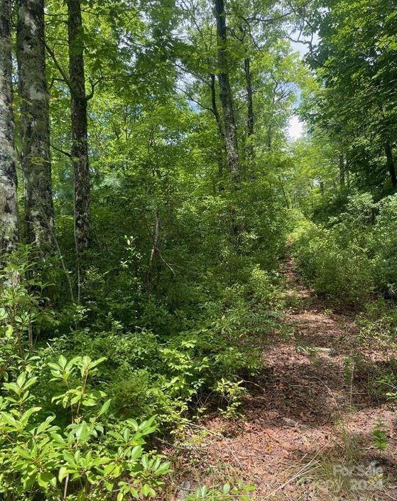 LOT114 Pickens Hwy, Rosman, NC 28772