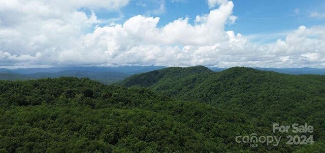 LOT114 Pickens Hwy, Rosman, NC 28772
