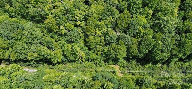 LOT114 Pickens Hwy, Rosman, NC 28772