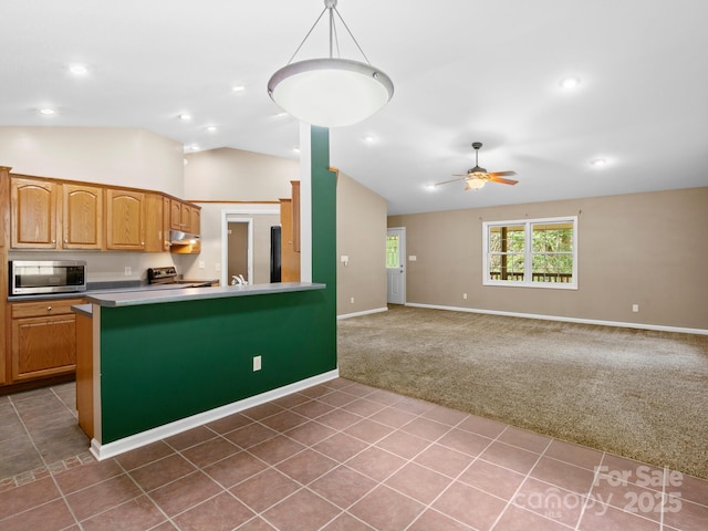 515 Pond Rd, Asheville, NC 28806 - photo 10