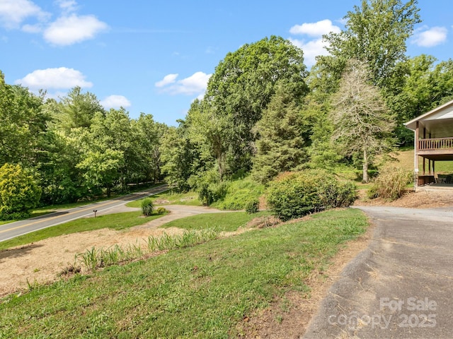 515 Pond Rd, Asheville, NC 28806 - photo 34
