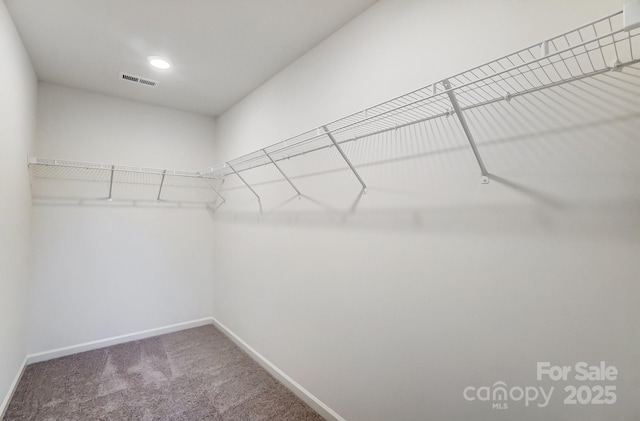 walk in closet featuring carpet floors