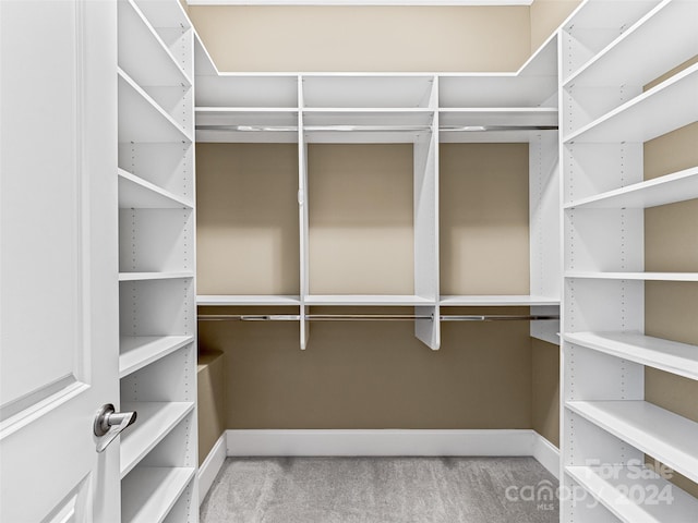 spacious closet featuring carpet floors