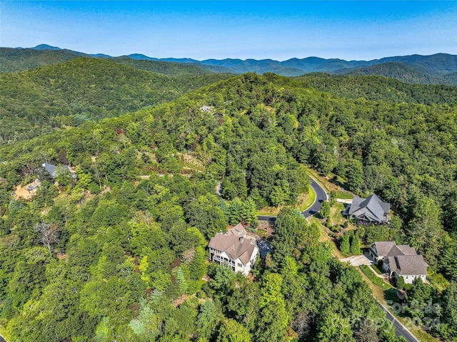 aerial view with a mountain view