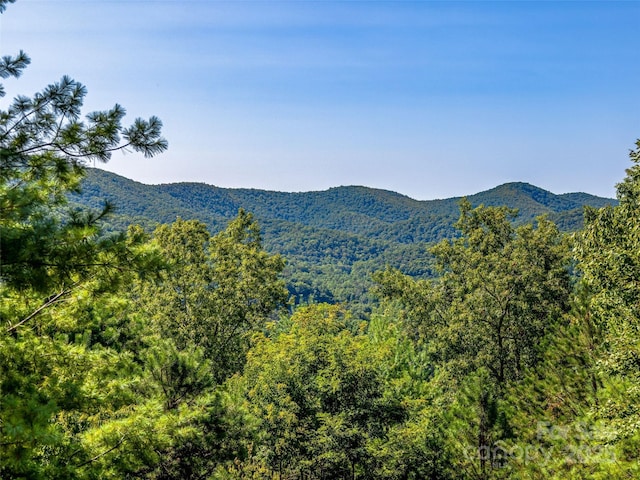 property view of mountains featuring a forest view