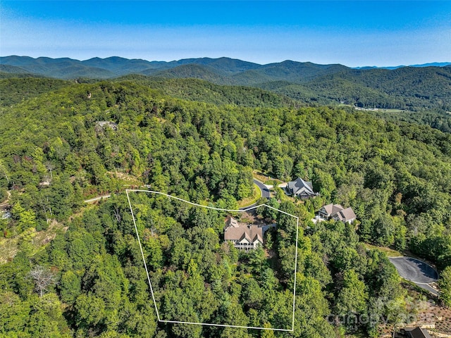 birds eye view of property featuring a forest view and a mountain view