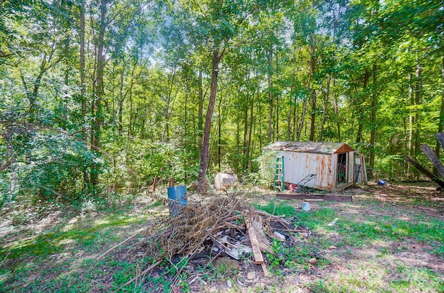 view of yard featuring a shed