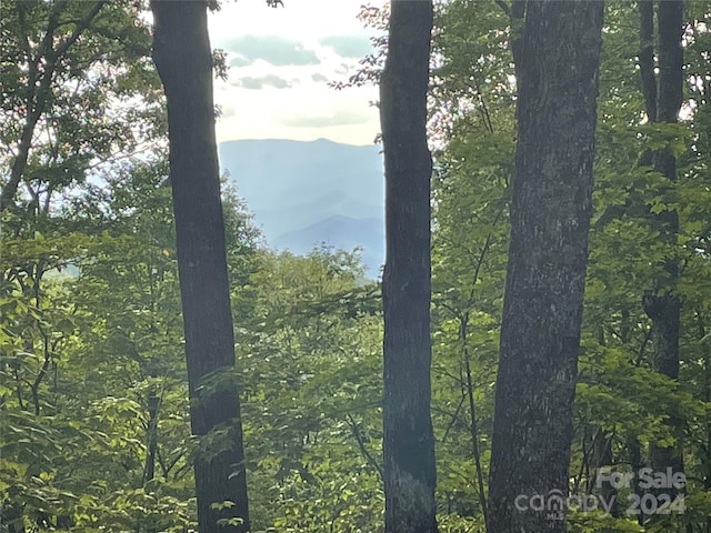 LT198 Corkscrew Way Unit 198, Sylva, NC 28779 - photo 2