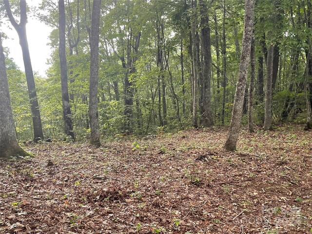 LT198 Corkscrew Way Unit 198, Sylva, NC 28779 - photo 3