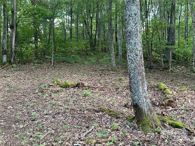 LT198 Corkscrew Way Unit 198, Sylva, NC 28779 - photo 4