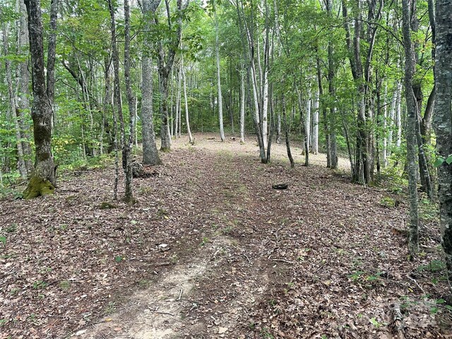 LT198 Corkscrew Way Unit 198, Sylva, NC 28779 - photo 5