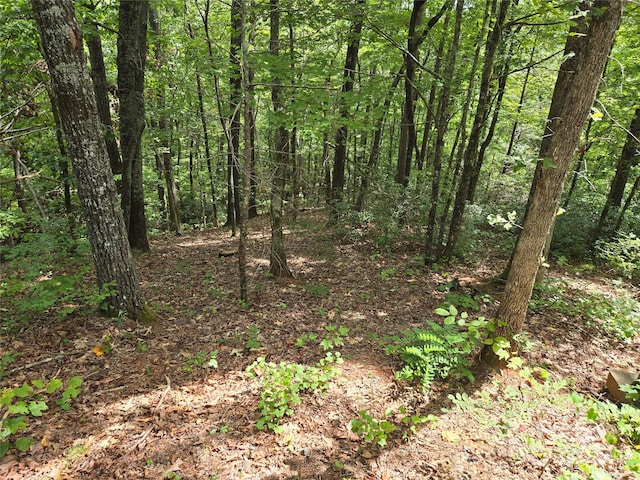 LOT167 Deerfield Dr, Lake Lure NC, 28746 land for sale