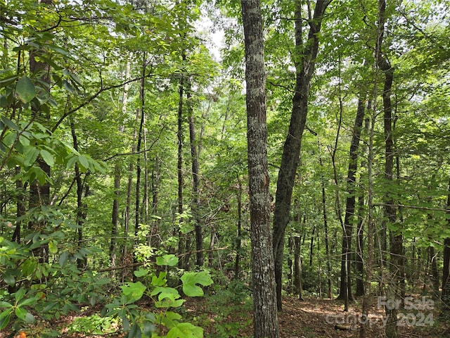 Listing photo 3 for LOT167 Deerfield Dr, Lake Lure NC 28746